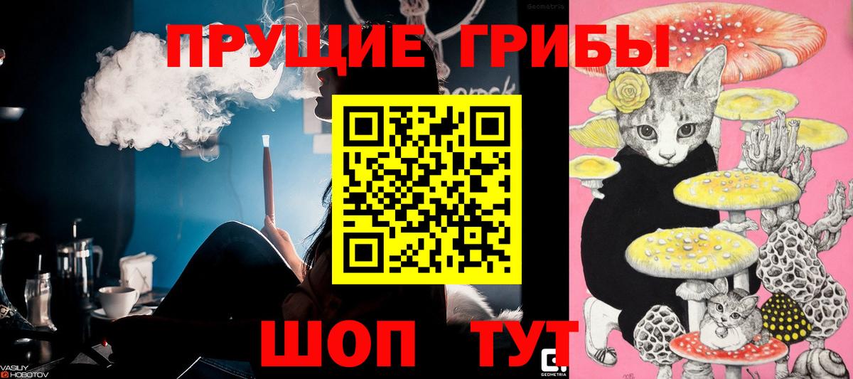 Галлюциногенные грибы Psilocybine cubensis  Вход с VPN  Комсомольск-на-Амуре  Галлюциногенные грибы прущие грибы 